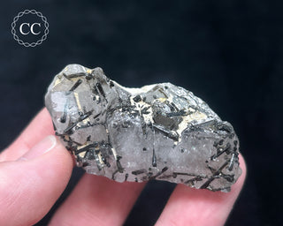 Schorl - Dravite Tourmaline in Quartz #6