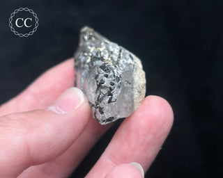 Schorl - Dravite Tourmaline in Quartz #6