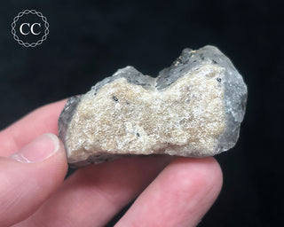 Schorl - Dravite Tourmaline in Quartz #6