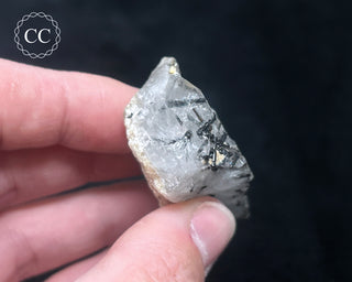 Schorl - Dravite Tourmaline in Quartz #6