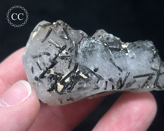 Schorl - Dravite Tourmaline in Quartz #6