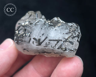 Schorl - Dravite Tourmaline in Quartz #6