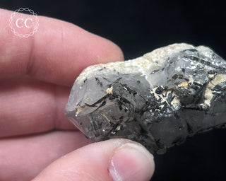 Schorl - Dravite Tourmaline in Quartz #6
