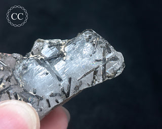 Schorl - Dravite Tourmaline in Quartz #6