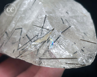 Schorl - Dravite Tourmaline in Quartz #1