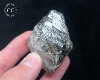 Schorl - Dravite Tourmaline in Quartz #7