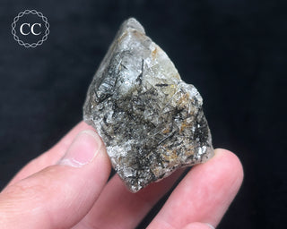 Schorl - Dravite Tourmaline in Quartz #7