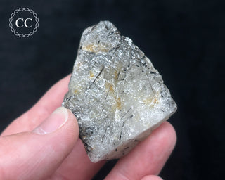 Schorl - Dravite Tourmaline in Quartz #7