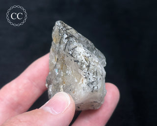 Schorl - Dravite Tourmaline in Quartz #7