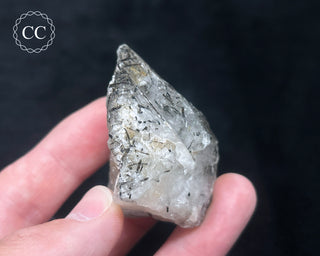Schorl - Dravite Tourmaline in Quartz #7