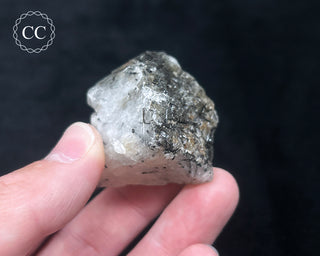 Schorl - Dravite Tourmaline in Quartz #7