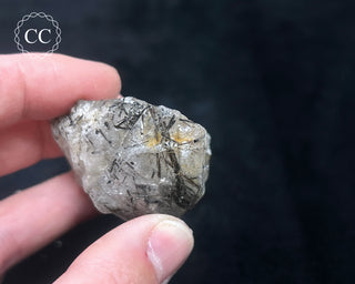 Schorl - Dravite Tourmaline in Quartz #7