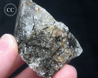 Schorl - Dravite Tourmaline in Quartz #7