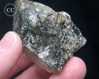 Schorl - Dravite Tourmaline in Quartz #7