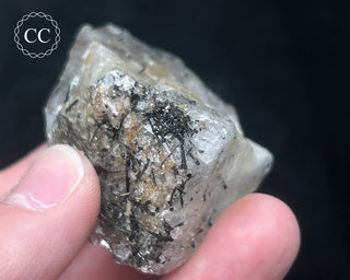 Schorl - Dravite Tourmaline in Quartz #7