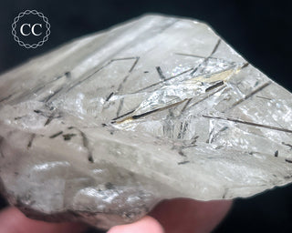 Schorl - Dravite Tourmaline in Quartz #1