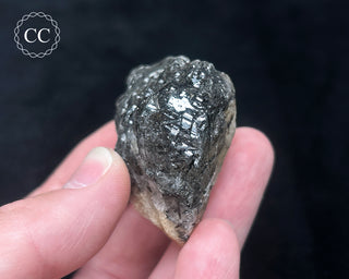 Schorl - Dravite Tourmaline in Quartz #8