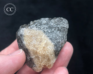 Schorl - Dravite Tourmaline in Quartz #8