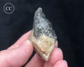 Schorl - Dravite Tourmaline in Quartz #8