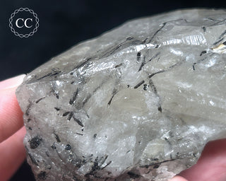Schorl - Dravite Tourmaline in Quartz #1