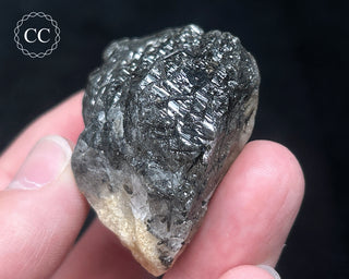 Schorl - Dravite Tourmaline in Quartz #8