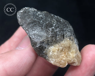 Schorl - Dravite Tourmaline in Quartz #8