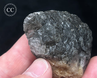 Schorl - Dravite Tourmaline in Quartz #8