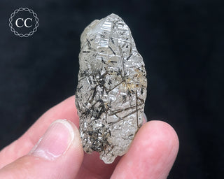 Schorl - Dravite Tourmaline in Quartz #9