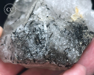 Schorl - Dravite Tourmaline in Quartz #1