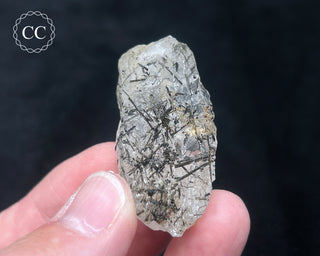 Schorl - Dravite Tourmaline in Quartz #9