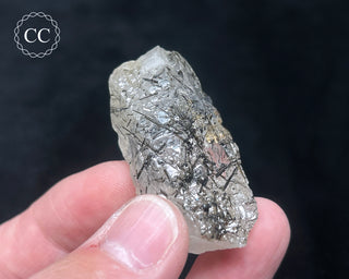 Schorl - Dravite Tourmaline in Quartz #9