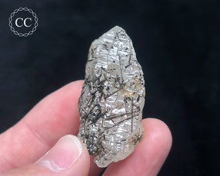 Schorl - Dravite Tourmaline in Quartz #9
