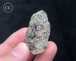 Schorl - Dravite Tourmaline in Quartz #9