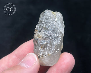 Schorl - Dravite Tourmaline in Quartz #9