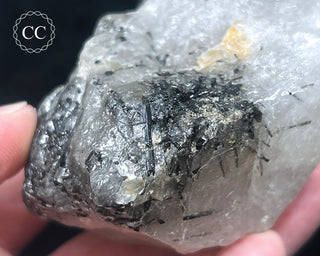 Schorl - Dravite Tourmaline in Quartz #1