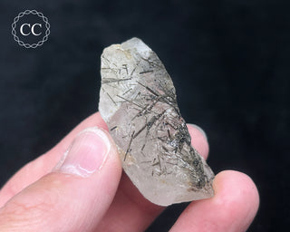 Schorl - Dravite Tourmaline in Quartz #9