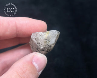 Schorl - Dravite Tourmaline in Quartz #9