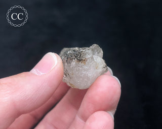 Schorl - Dravite Tourmaline in Quartz #9