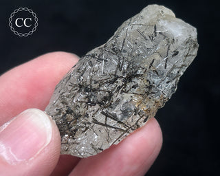 Schorl - Dravite Tourmaline in Quartz #9