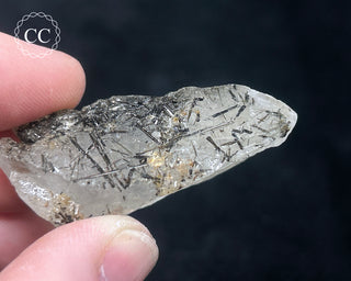 Schorl - Dravite Tourmaline in Quartz #9