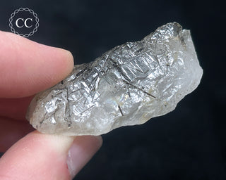 Schorl - Dravite Tourmaline in Quartz #9