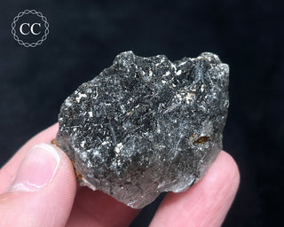 Schorl - Dravite Tourmaline in Quartz #10