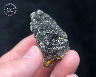 Schorl - Dravite Tourmaline in Quartz #10
