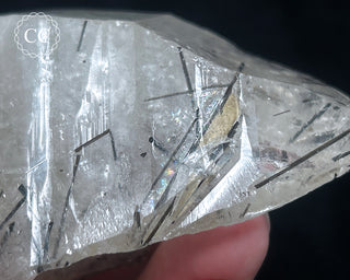 Schorl - Dravite Tourmaline in Quartz #1