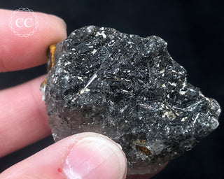 Schorl - Dravite Tourmaline in Quartz #10