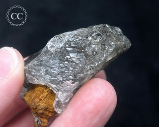 Schorl - Dravite Tourmaline in Quartz #10