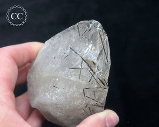 Schorl - Dravite Tourmaline in Quartz #1