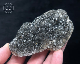 Schorl - Dravite Tourmaline in Quartz #2