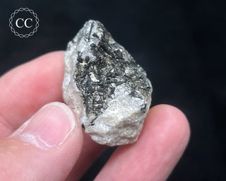 Schorl - Dravite Tourmaline in Quartz #11