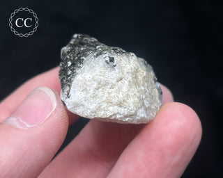 Schorl - Dravite Tourmaline in Quartz #11